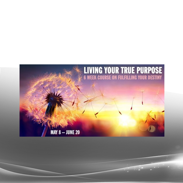 Kristopher Dillard - Living Your True Purpose