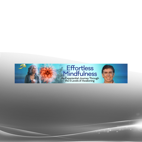 Loch Kelly - Effortless Mindfulness