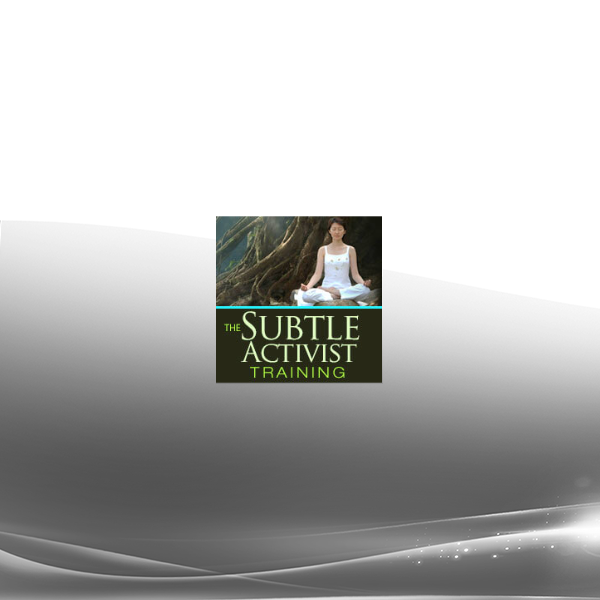 David Nicol - The Subtle Activist Training