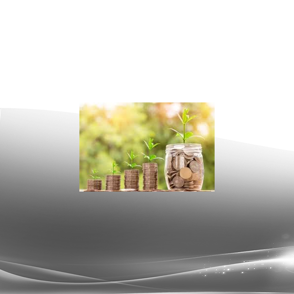 Sapien Medicine - Capital Governance