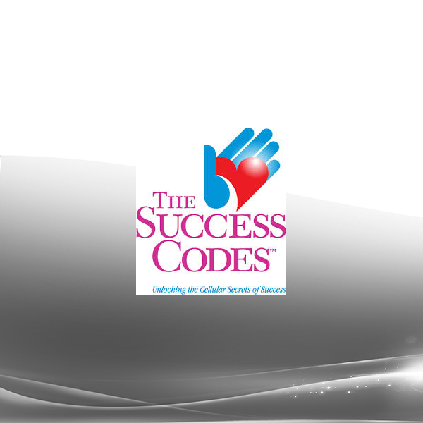 Alex Loyd - The Success Codes