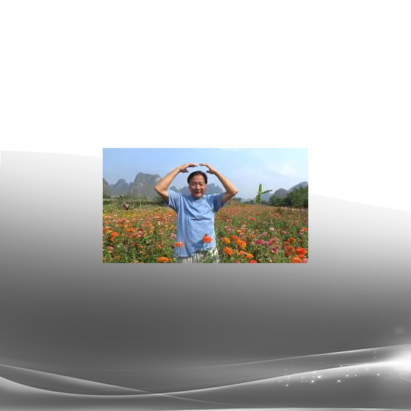 Luke Chan - Chi-Lel Qigong - 6 Dimensional Self-Healing Gongs