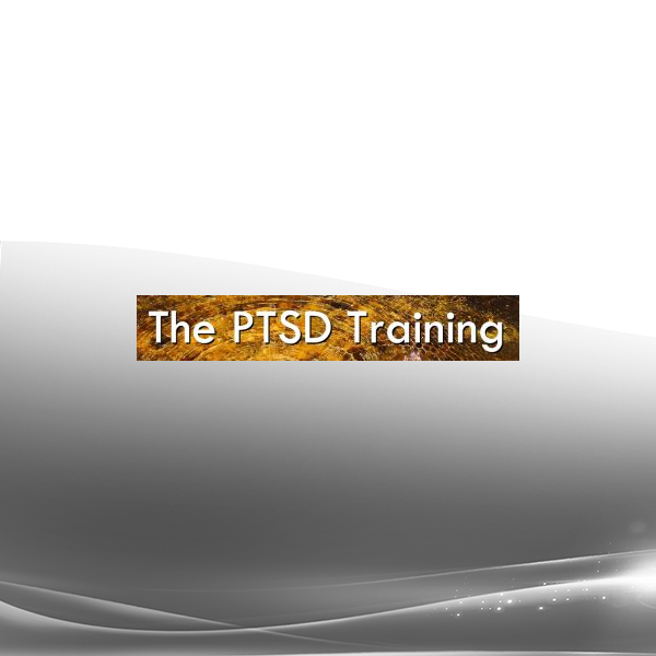 Steve Andreas - PTSD Full Training
