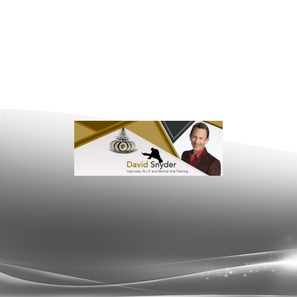 David Snyder - Secrets of Internal Power - Self Defense Supercharge & Self Defense Energetic Bootcamp 2021