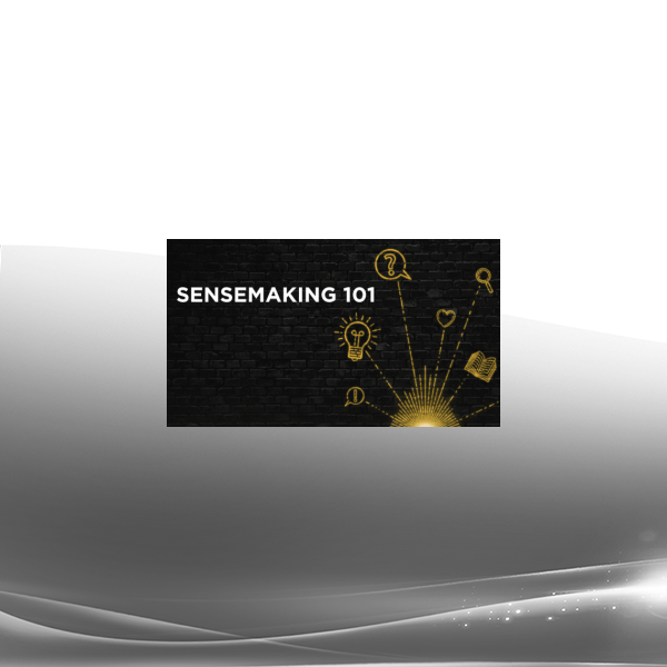 Rebel Wisdom - Sensemaking 101