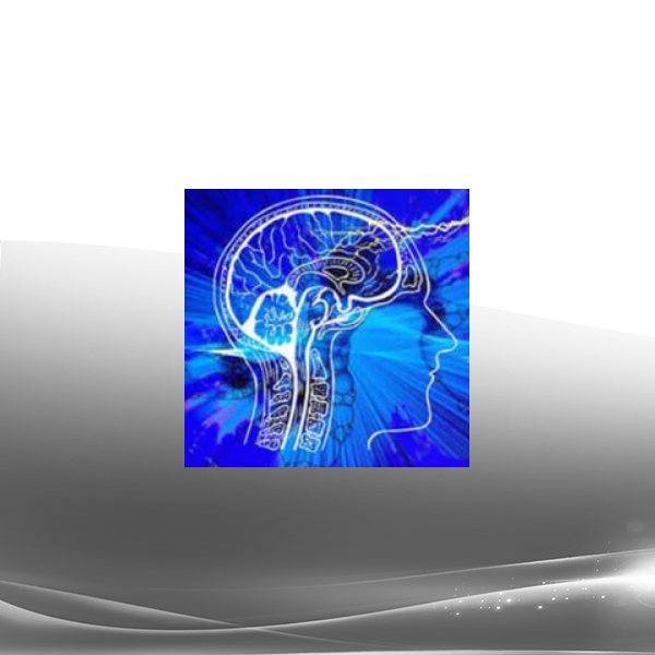 Gary Brodsky - Brain Train