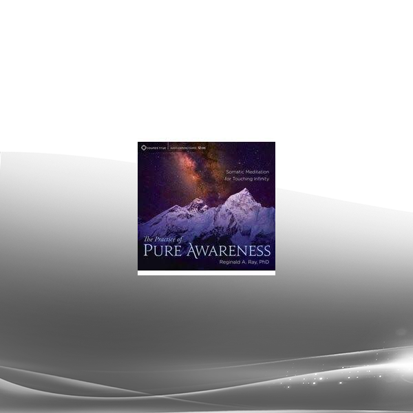 Reginald A. Ray - The Practice of Pure Awareness
