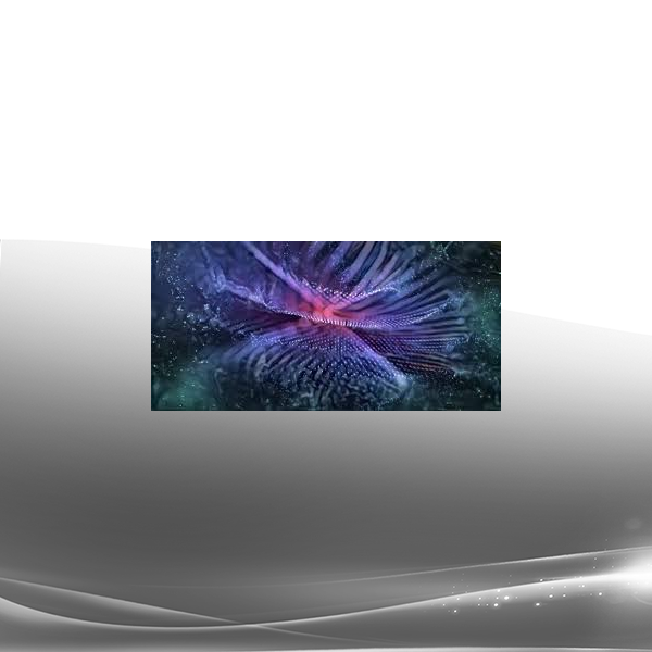 Sapien Medicine - Vibration of Creation