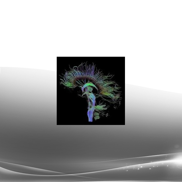 Command Z - Esozone Codex Brain Change Course