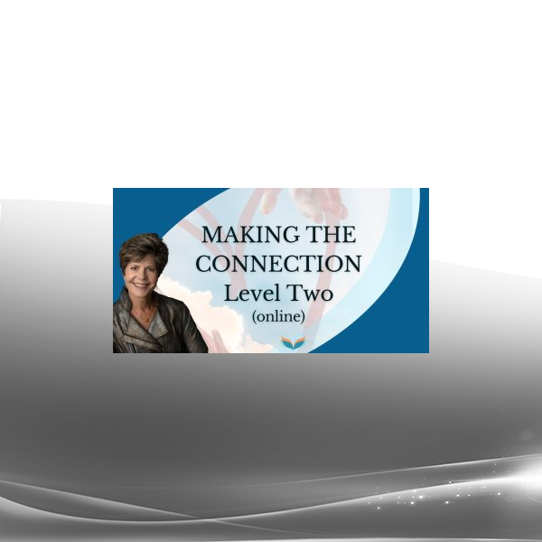 Suzanne Giesemann - Making the Connection Level Two