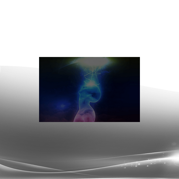 Joe Dispenza - Rewired Episode 10: Pineal Gland & the Quantum Field
