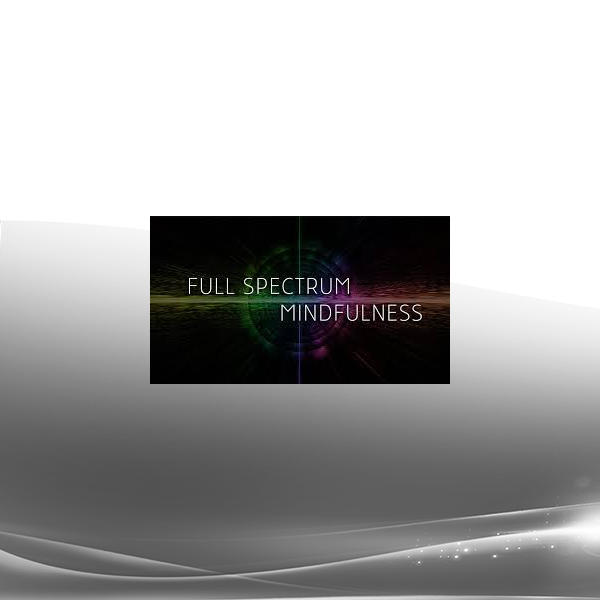 Ken Wilber - Full Spectrum Mindfullness 2019