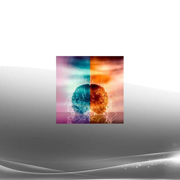 Joseph Riggio - Your Performance Code - Mastering Complexity & Neuro-Cognitive Hacking Series