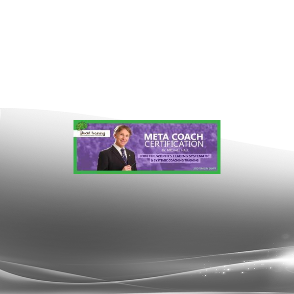Michael Hall - Meta-Coach 2005