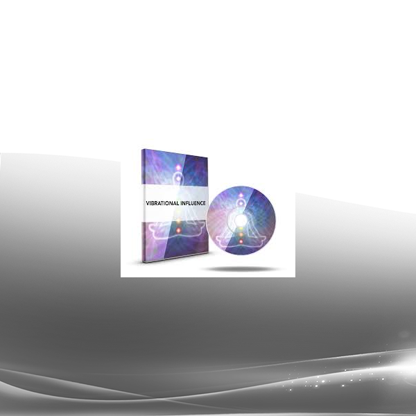David Synder - Vibrational Influence GB
