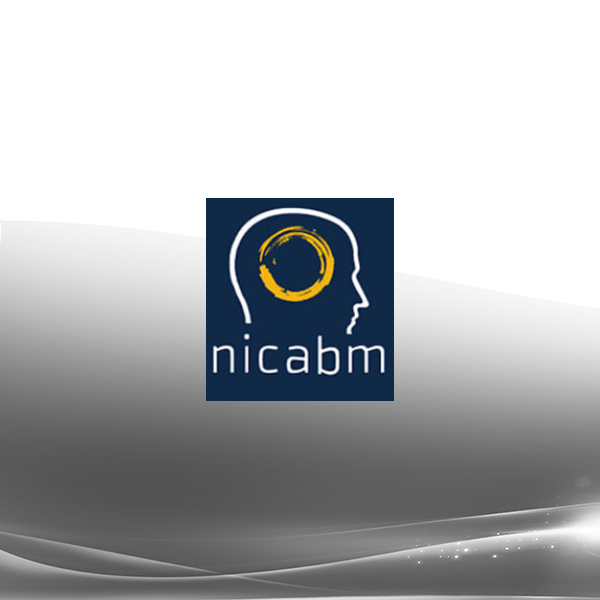 NICABM - Expert Ways to Work with Anxiety