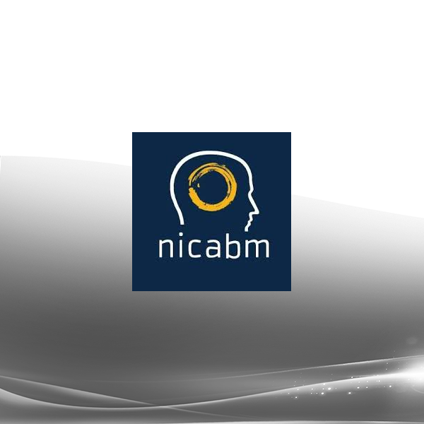NICABM - The Treating Trauma Master Series