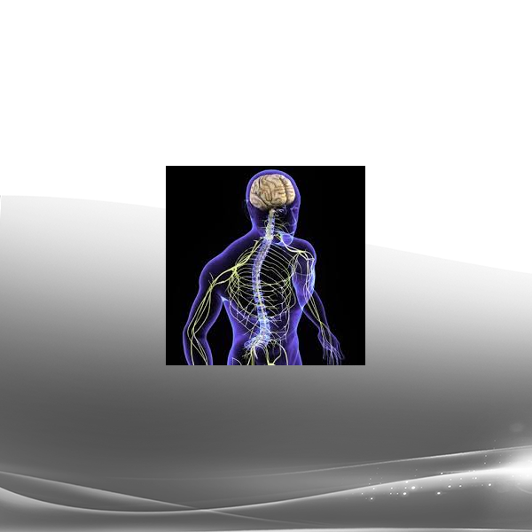 Perry Nickelston - Vagus Nerve Mojo Webcast