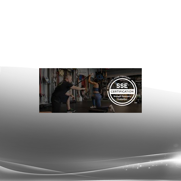 Nick Tumminello - Strength Symmetry Evaluation Online