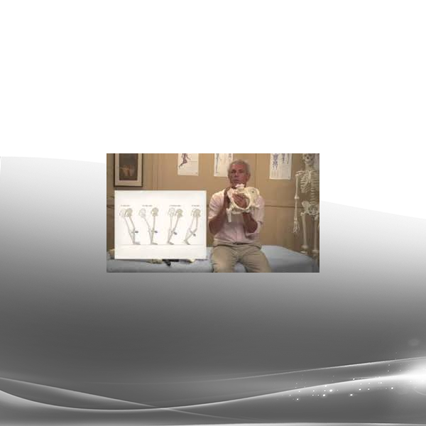 Tom Myers - Balancing the Pelvis