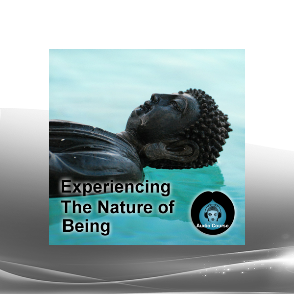Peter Ralston - Experiencing the Nature of Being Video Course